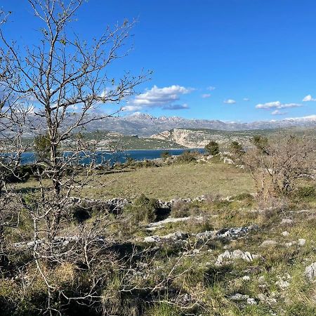 Villa Planita Dalmacija Novigrad  Luaran gambar