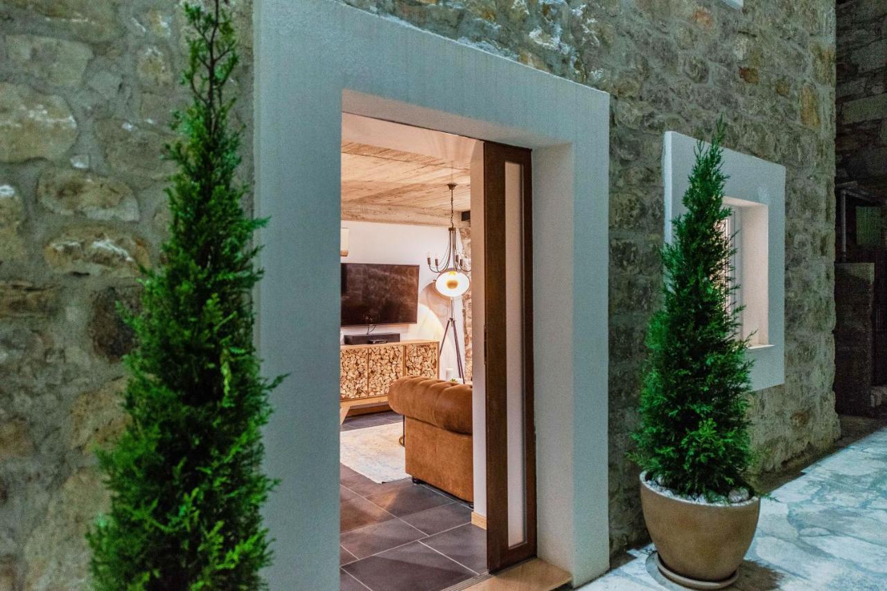 Villa Planita Dalmacija Novigrad  Luaran gambar