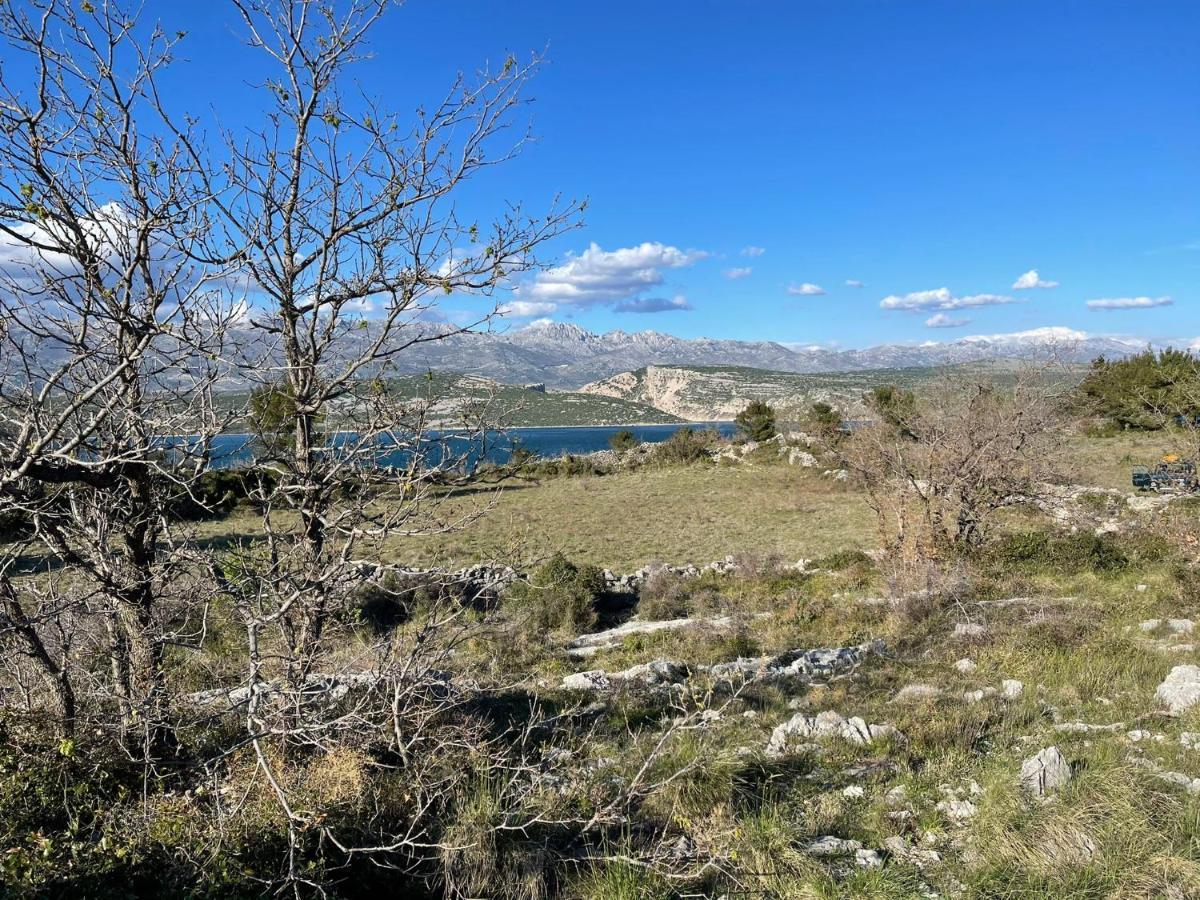 Villa Planita Dalmacija Novigrad  Luaran gambar